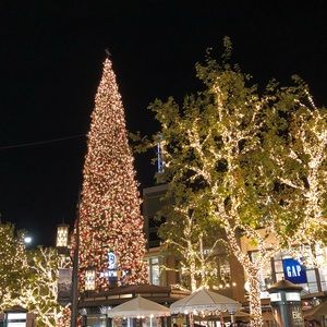 Meet your Posher, Hong